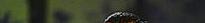oben_showRow1xCol3.jpg